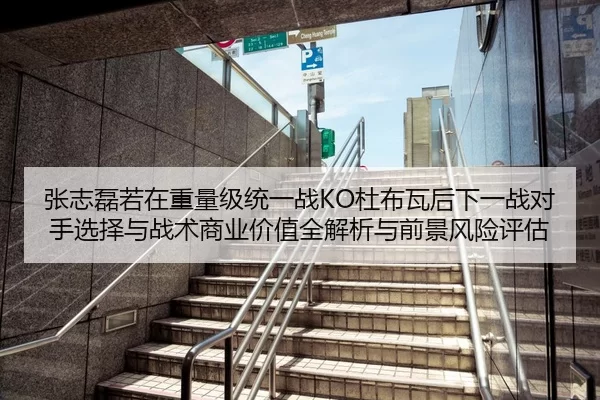 张志磊若在重量级统一战KO杜布瓦后下一战对手选择与战术商业价值全解析与前景风险评估